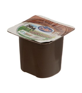 خامه 100 گرم شكلاتي ميهن