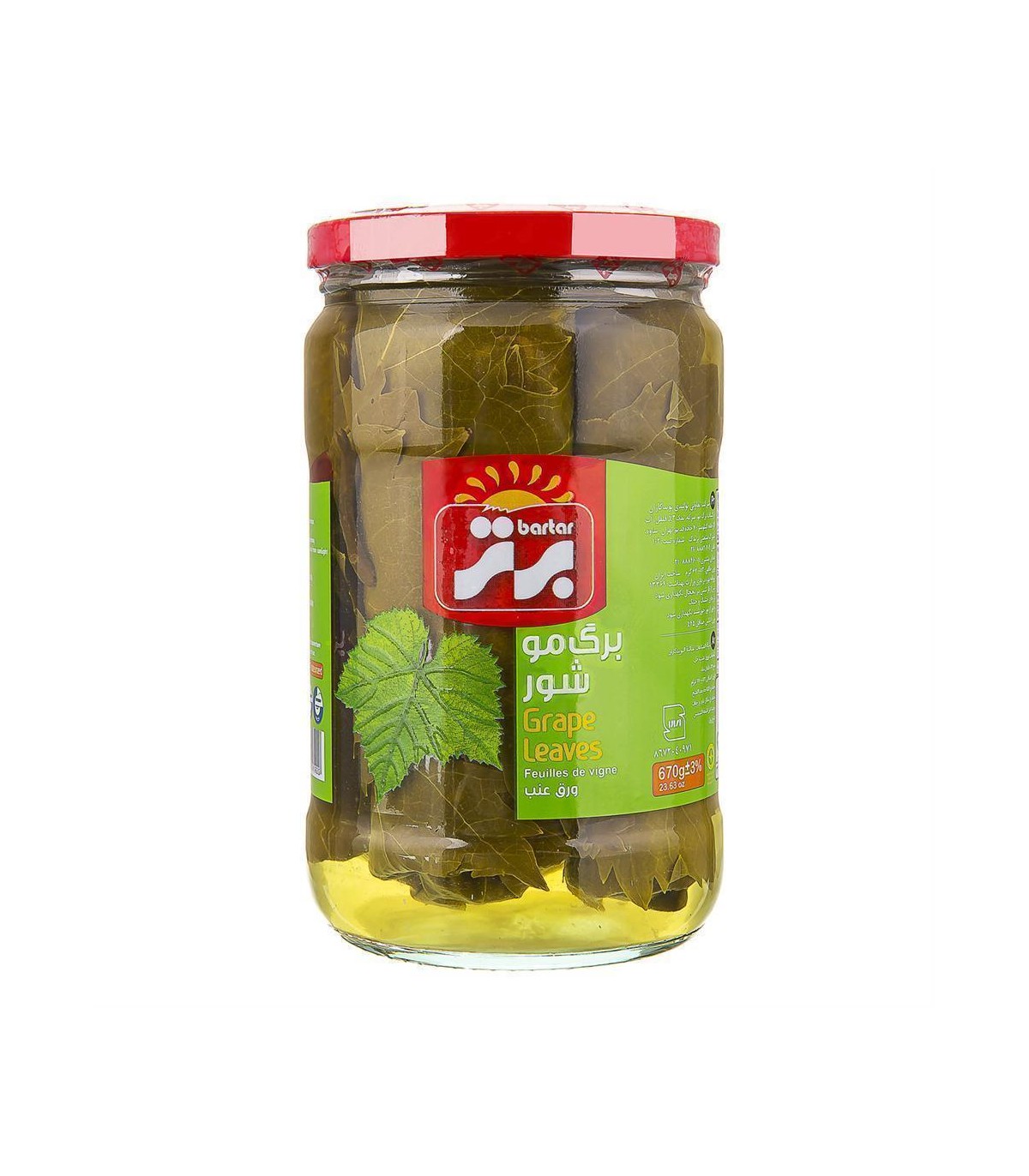 برگ مو شور 670 گرم برتر