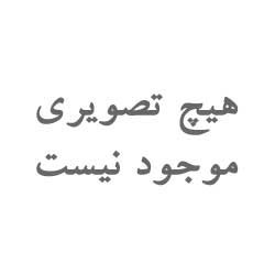 پنير 200 گرم بافت ميهن