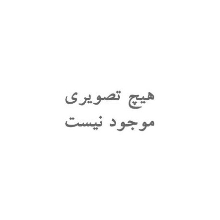 ساندویچ بوقلمون 97% لندی